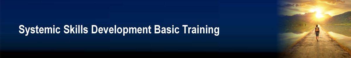 Systemic_Skills_Development_Basic_Training_Header